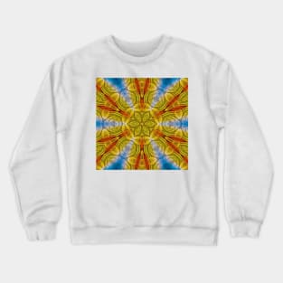radial inspired by nature rainbow coloured square composition design Crewneck Sweatshirt